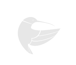 kolibri