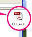 dhl_exe